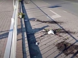 В Балтийске задержали вандала из-за разбитых вазонов и отправили лечиться (видео)