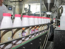 Алтайское предприятие выпускает йогурт с кактусом и хлеб с ягодами