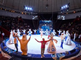 "Айсберг": волшебство на арене кемеровского цирка