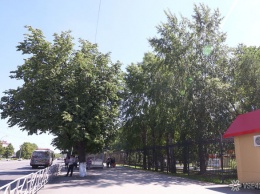 Кемеровские власти прокомментировали "ошарпанное" состояние Комсомольского парка