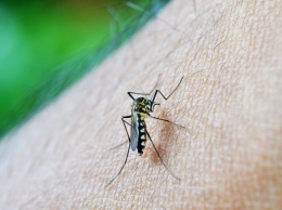 Уникальный дар сделал кишечные газы жителя Уганды смертельными для комаров