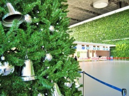 В аэропорту Симферополя установили 12-метровую елку