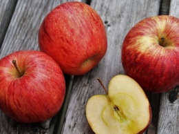 На Алтай пытались ввезти более 20 тонн санкционных яблок