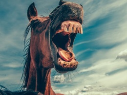 Нижегородец лишится свободы за истязание соседей лошадиным ржанием