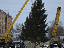 В Рубцовск привезли 12-метровую новогоднюю ель с шишками