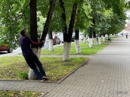 Обнимающий деревья в центре города наркоман напугал кемеровчан