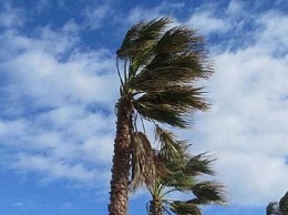 Опасная погода: в Сочи ожидается ветер близкий к урагану