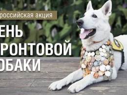 В Алтайском крае пройдет День фронтовой собаки