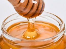 Мед или не мед? Как недобросовестные продавцы подделывают «сладкий янтарь»