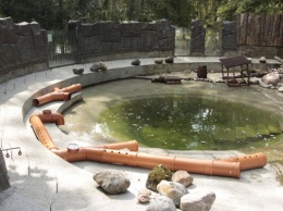 В Калининградском зоопарке появился «выдропровод» (фото)