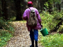 Сотрудник МЧС помог грибникам спастись от гибели в лесу