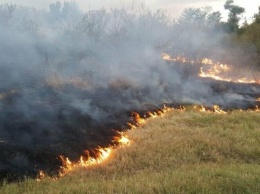 Максимальная пожарная опасность ожидается в лесах Ульяновской области