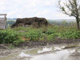 В Новороссийске ущерб аграриев от стихии составил около 240 млн рублей
