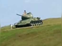 Два агрессивных алабая загнали женщину на танк в музее «Красная горка» под Темрюком