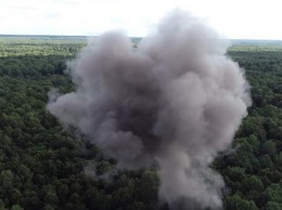 В лесу взорвали схрон с боеприпасами времен ВОВ (видео)
