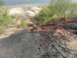 Прокуратура проверяет ситуацию с загрязнением нефтепродуктами барнаульского берега Оби