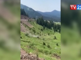 Автомобиль с туристами вылетел в горный овраг в Грузии