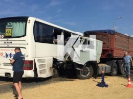 Фура-зерновоз протаранила пассажирский автобус на трассе в Темрюкском районе