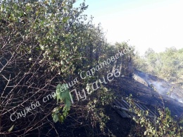 В Пугачеве пришедший из оврага огонь уничтожил хозпостройки. Выгорел целый гектар