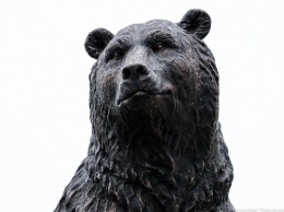 Калининградский зоопарк надеется построить новый медвежатник в 2024 году