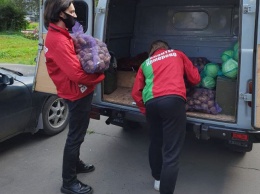 Тысячи кузбассовцев получат бесплатные овощные наборы