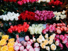 Областные власти закупают для своих нужд цветы на 1 млн рублей