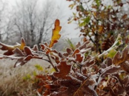 Синоптики предупреждают о первых заморозках в Калужской области
