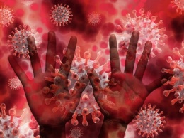 Более 10 человек в Индии заразились неизлечимой смертельной инфекцией