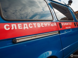СК РФ возбудил дело о халатности после убийства двух десятилетних школьниц из Киселевска