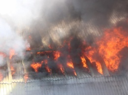 Трагедия в Балашове. На пожаре погиб оставленный в доме 3-летний ребенок