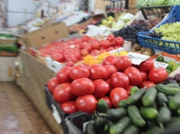 Минсельхоз РФ потребовал от Саратовской области повысить урожайность овощей