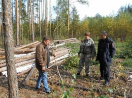 Патрулирование усилено в лесах Ульяновской области