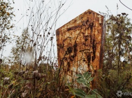 Власти Березовского продадут срубленные ради расширения кладбища сосны