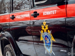 Петербургский СК завел дело после обнаружения 15-летней сироты весом 13 кг