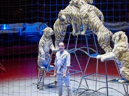 Шоу белых тигров впервые представят в цирке Краснодара