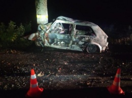 В Калининградской области машина врезалась в дерево и сгорела вместе с водителем (фото)