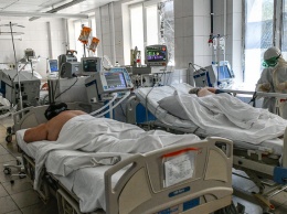 229 заболевших COVID-19 выявили за сутки на Кубани