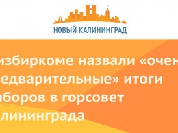 В избиркоме назвали «очень предварительные» итоги выборов в горсовет Калининграда