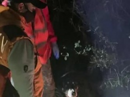 В калужском лесу обессиленного грибника нашли при помощи вертолета и дыма (видео)