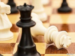 Краевой чемпионат по быстрым шахматам прошел в Петропавловске-Камчатском