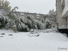 Во власти циклона: кемеровские синоптики дали прогноз по снегопадам