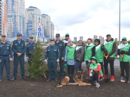 Зеленая дружина СГК высадила деревья в Кемерове