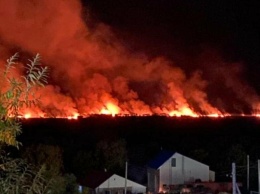 Сопка и болото горят в Петропавловске-Камчатском