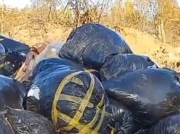 В пригороде Калуги устроили свалку отходов предприятия и разлив гудрона (видео)