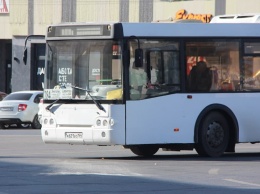 В Саратове непривитых водителей общественного транспорта отстранят от работы
