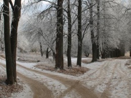 Синоптики ожидают выпадение первого снега в Калуге