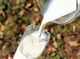 В Краснодарском крае увеличат производство молока