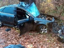 На Кубани водитель и пассажир Audi погибли из-за превышения скорости
