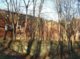 Замок Бальга и форт № 1 «Крепость барона Штайна» сдали в аренду на полвека