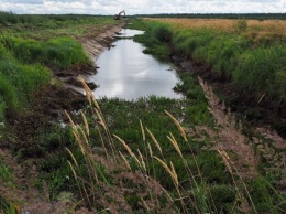 Областные власти хотят очистить в 2022 году 2 реки, важных для нереста и мелиорации